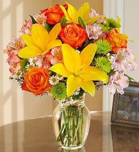 Fields of Europe Mixed flowers