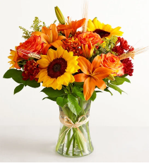 Fields of Europe of Fall 