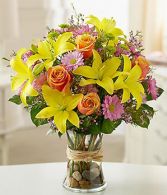 Fields of Europe  Bright & Cheerful Flowers