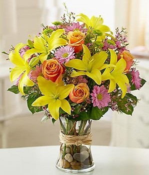 Fields of Europe Bright & Cheerful Flowers