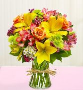 Fields of Europe  Fresh Flowers