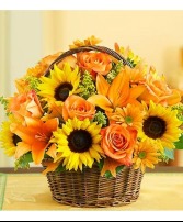 FIELDS OF FALL BASKET 