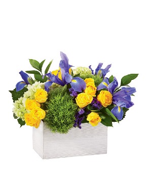 Fields of Iris Arrangement