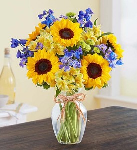 Fields of Summer Sunflowers, Button Mums, Delphinium, and More 