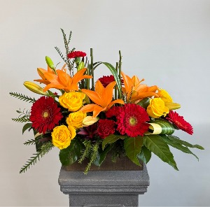 Fiery Blooms 