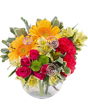 Thankfulness in a Vase ($125-$200) Denver Florist - Moss Pink