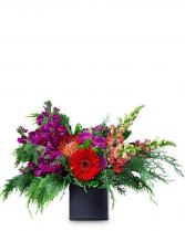 Fiesta Arrangement