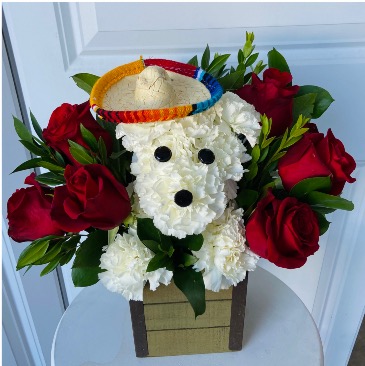 Charro Pup in Whittier, CA | Rosemantico Flowers Charro Pup in Whittier, CA | Rosemantico Flowers