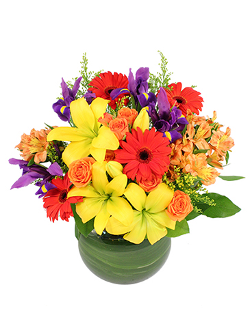 Fiesta Time! Bouquet in Brigham City, UT | Brigham Floral & Gift Design