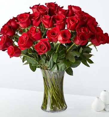 Fifty Long Stem Red Roses  in Germantown, MD | Oaxaca Florist
