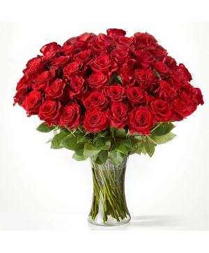 Fifty Long Stem Red Roses 