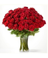 Fifty Long Stem Red Roses Fifty Long Stem Red Roses