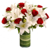 FIRE AND ICE ARRANGEMENT