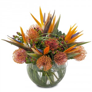 Fireworks Arrangement in Fort Smith, AR | EXPRESSIONS FLOWERS, LLC Fireworks Arrangement in Fort Smith, AR | EXPRESSIONS FLOWERS, LLC
