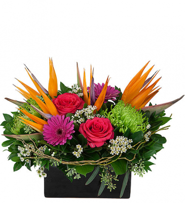 Fireworks Arrangement in Winnipeg, MB | CHARLESWOOD FLORISTS