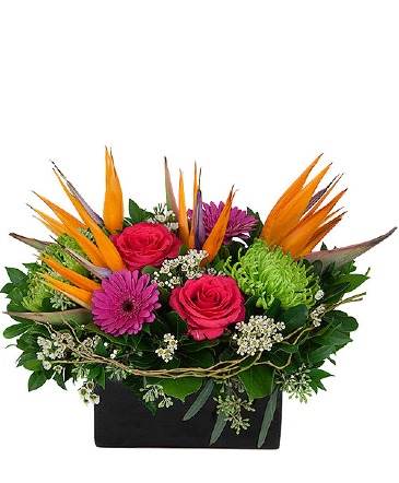 Fireworks Arrangement in Winnipeg, MB | Ann's Flowers & Gifts