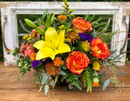 Vibrant Colors of Autumn PFD-501