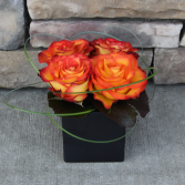 Fiery Love Squared Contemporary Rose Arrangement