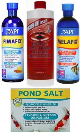 First Aid for Fish