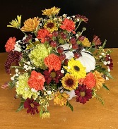 First Frost Bloom Cut flowers in pottery
