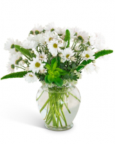 First Place Daisies Arrangement