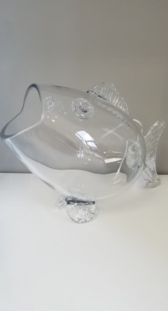 Fish 15