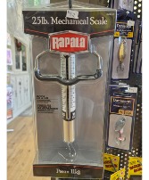 Fishing scale 