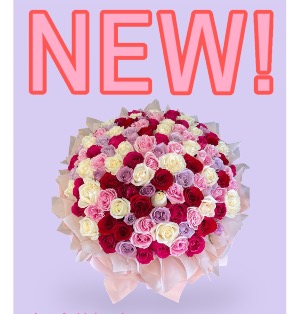 Fit for a Queen! 100 Roses