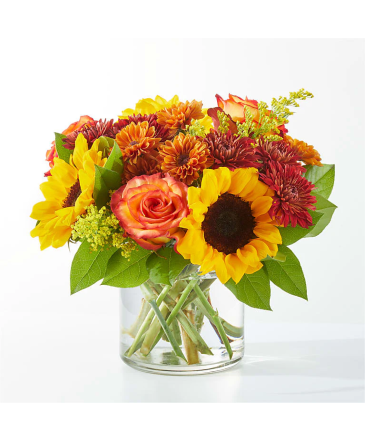 Flannel Scarf V5571d Bouquet in Fort Worth, TX | DARLA'S FLORIST