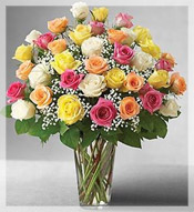 I LOVE YOU THIS MUCH!!!! 3 DZ. LONG STEM ROSES ARRANGED IN A VASE!