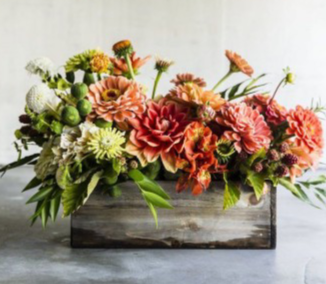 Flavorful Fall Orange dahlias, zanies, green button mums in a wood cube or glass cube upon availabilty 