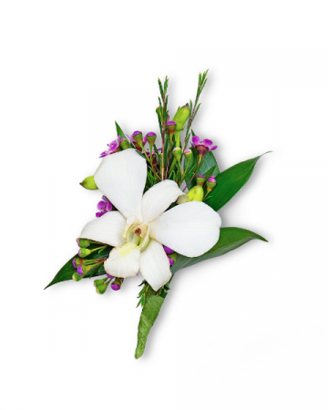 Flawless Boutonniere Corsage/Boutonniere in Nevada, IA | Flower Bed