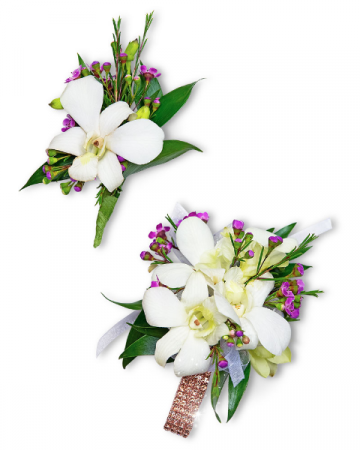 Flawless Corsage and Boutonniere Set Corsage/Boutonniere in Nevada, IA | Flower Bed