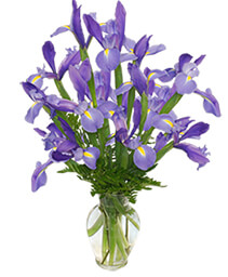 FLEUR-DE-LIS Iris Vase