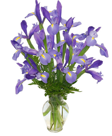 FLEUR-DE-LIS Iris Vase in Oakdale, CA | Oakdale Flowers