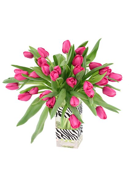 Hot Pink Passion Tulip Arrangement
