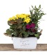 Fleurs et Nature Planter Dish Garden