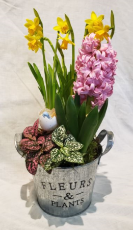 Fleurs & Plants Spring Bulb Planter