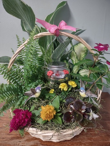 Flight In The Garden Plant basket...indoor & outdoor in Phenix City, AL | Buds & Blooms Florist