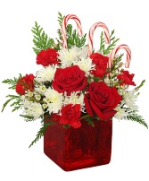 CANDY CANE CUBE HOLIDAY FLOWERS 