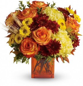 Flirty Autumn $45.95, $55.95, 65.95