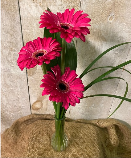 Flirty Gerberas  bud vase arrangement