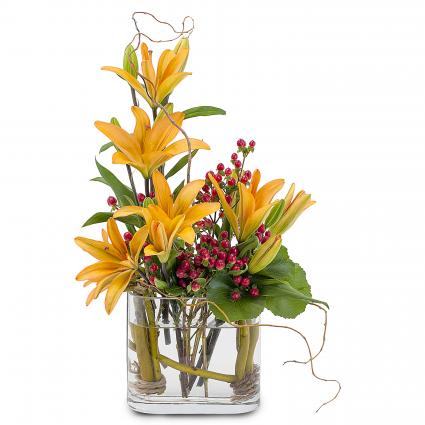 Floating Blooms Arrangement