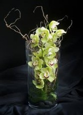 Floating Orchids  