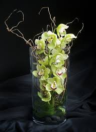 Floating Orchids