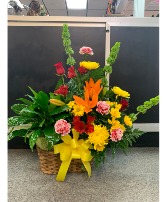 Floral Arrangement & Plant In Basket 