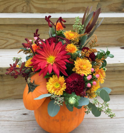 Pumpkin and Petals Arrangement