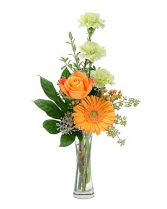 Floral Delight  Vase Arrangement
