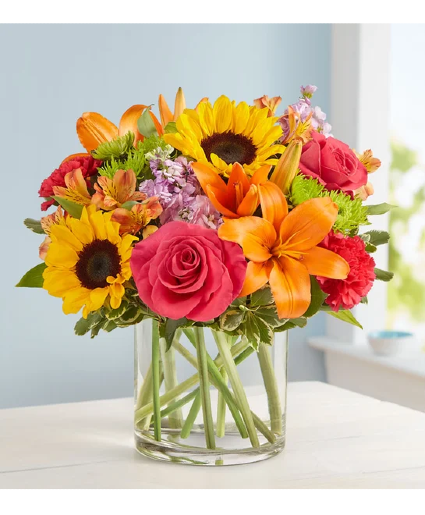 Floral Embrance summer flowers