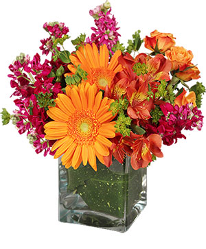 Floral Exuberance Arrangement